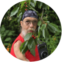 Benutzeravatar